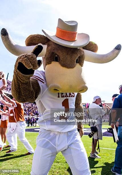 80 Longhorn Mascot Stock Photos, High-Res Pictures, and Images - Getty ...