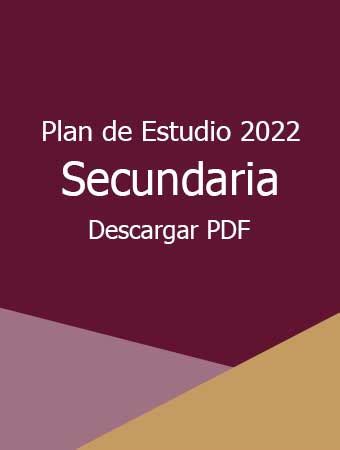 Plan Y Programa De Estudio 2022 Descargar PDF