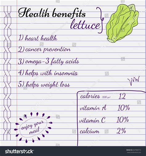 Health Benefits Lettuce Nutrition Facts Infographics Stock Vector ...