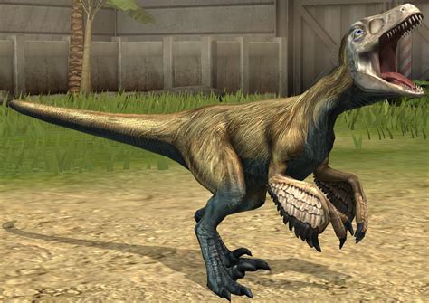 Image - Pyroraptor lvl 10.jpg | Jurassic Park wiki | FANDOM powered by ...