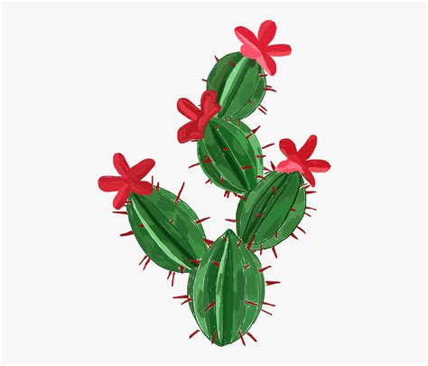 Transparent Nopal Png Cactus Arts And Crafts Free Transparent