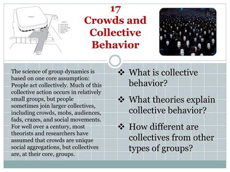 PPT 17 Crowds And Collective Behavior PowerPoint Presentation Free