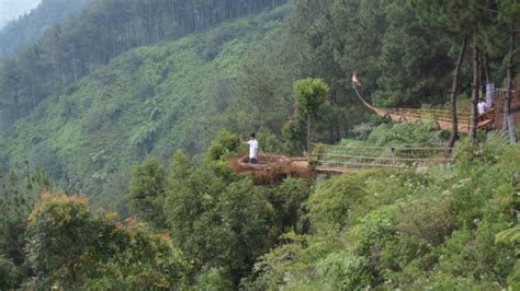 Indahnya Negeri Atas Awan Di Puncak Patran Gunung Prau Batang