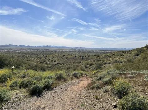 Best Hikes And Trails In Phoenix Sonoran Desert Preserve Alltrails