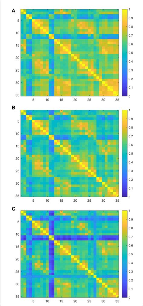 Figure E Group Averaged Resting State Functional Connectivity Rsfc