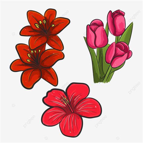 Flores Dibujadas A Mano Png Dibujos Flores Dibujado A Mano Dibujar