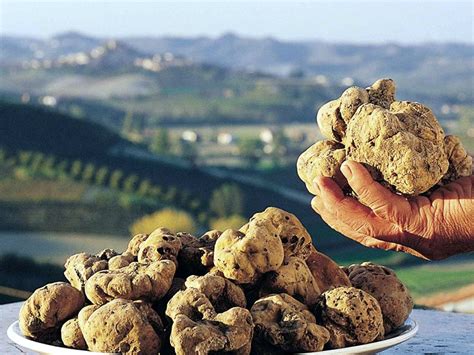 Cibo Tartufo Delle Crete Senesi Torna Festa Al Castello Di San