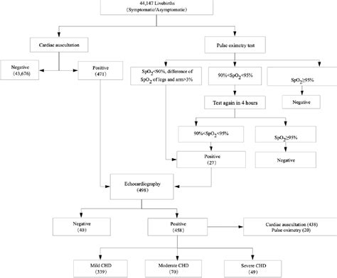 Figure From An Ideal Neonatal Congenital Heart Disease Screening Plan