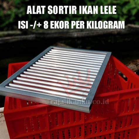 jual alat sortir lele  kg isi  ekor  keranjang shopee indonesia