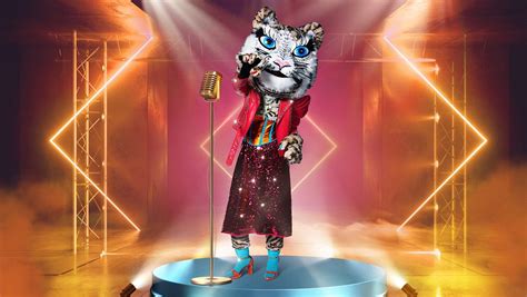 „the Masked Singer“ Staffel 5 Alle 11 Kostüme And Sendetermine 2021