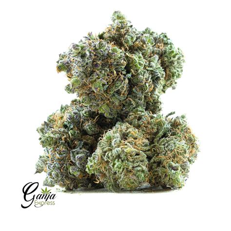 Buy Island Sweet Skunk Online Canada Ganja Express