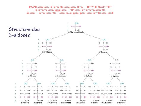 Chapitre 11 Sucres Et Polysaccharides 1 Les Monosaccharides