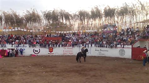 Fiestas San Marcosjalisco Youtube