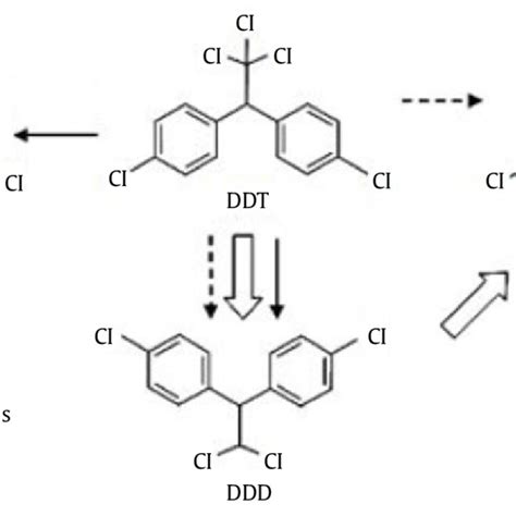 Proposed Ddt Degradation Pathways By Particular G Lingzhi And P