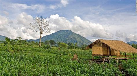 On the Bolaven Plateau, savor a Lao coffee paradise | CNN Travel