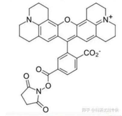 Rhodamine X Nhs Ester Nhsn