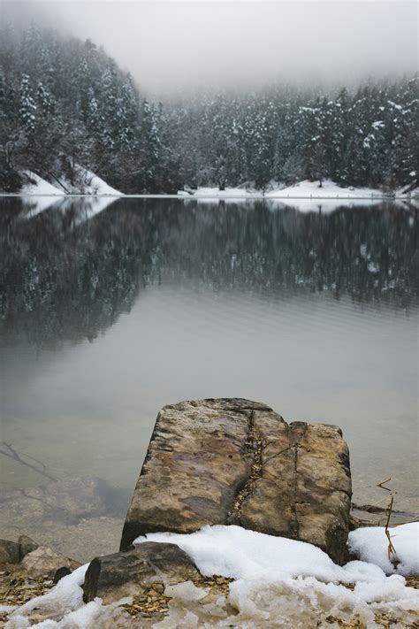 Calm Water Surface of a Lake · Free Stock Photo