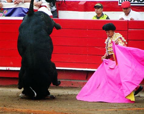 Del Toro Al Infinito Foto De La Feria Manizales 2015