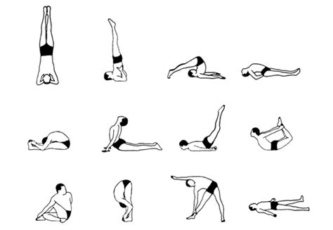 12 Basic Asanas of Hatha Yoga and its Benefits | Sivananda yoga, Yoga ...