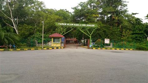 Kuala Selangor Nature Park (Taman Alam Kuala Selangor) - All You Need ...