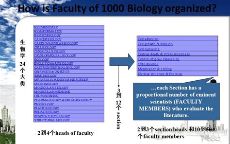 Faculty Of 1000 第 17 组：樊海娟 佟星星 倪晓燕 王璐 李辉 张祖毓 邓娜 主要内容 一、 什么是 Faculty Of 1000 二、 Faculty Of 1000 的