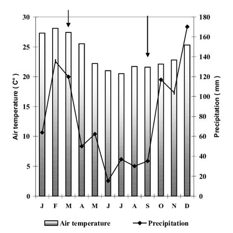 Air Temperature C And Precipitation Mm For The Year Arrows