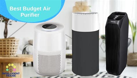 Best Budget Air Purifier Pocket Friendly Picks For