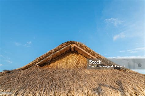 struktur gubuk bambu gubuk bambu gubuk bambu  hidup bagian atapnya