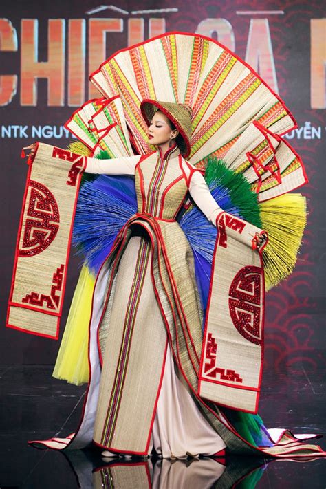 Miss Universe Contestants Costumes