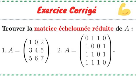 Matrice Chelonn E R Duite Exercice De La S Rie De Tds Svt S