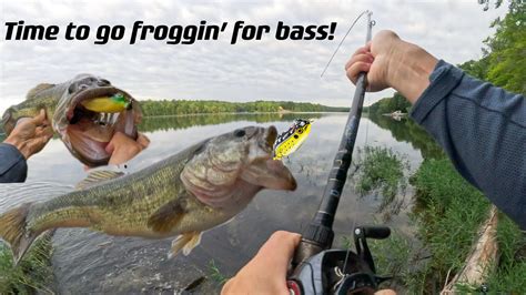 Time To Go Froggin For Basscrazy Frog Big Bass Fishing Bass