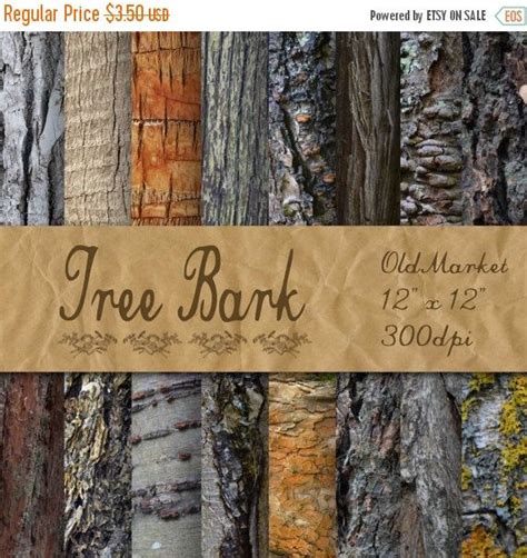 Tree Bark Digital Paper Wood Textures Wood Backgrounds 16 Designs 12in X 12in Commercial Use