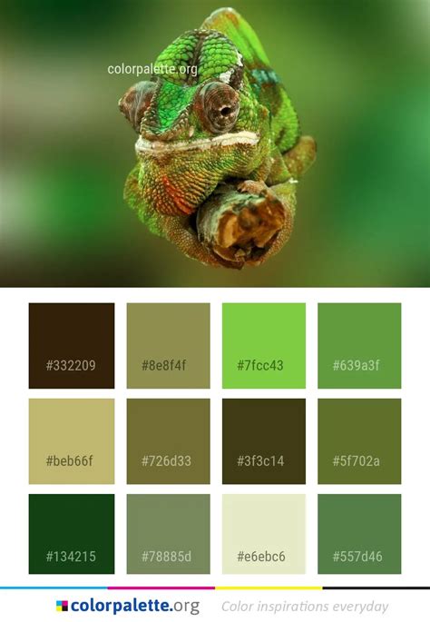 Chameleon African Reptile Color Palette | colorpalette.org