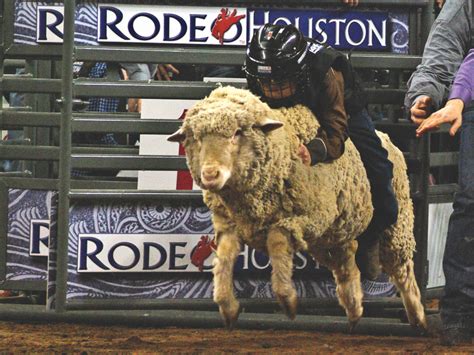 Yee Haw Houston Rodeo Sets Attendance Records CultureMap Houston