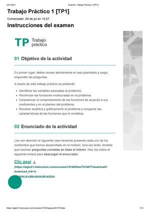 TP2 95 Trabajo Práctico N2 95 5 puntos La función que describe