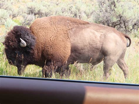 Find out how to subscribe to the livingston enterprise montana online 10