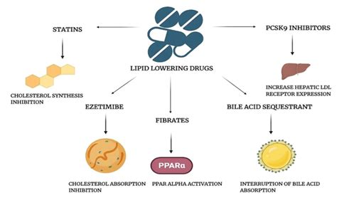 Mechanism of Action of Conventional Anti-hyperlipidemic drugs ...