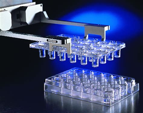 hts transwell   permeable supports system polystyrene sterile