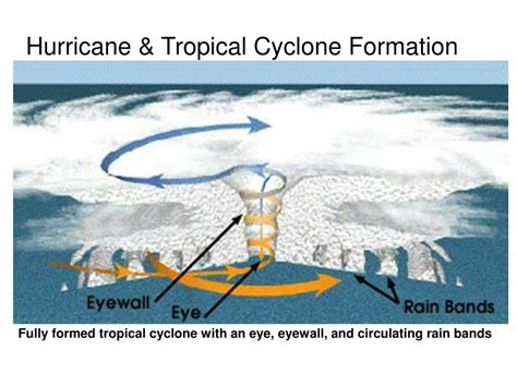 PPT - RAINFALL DATA ANALYSIS PowerPoint Presentation, free download ... 