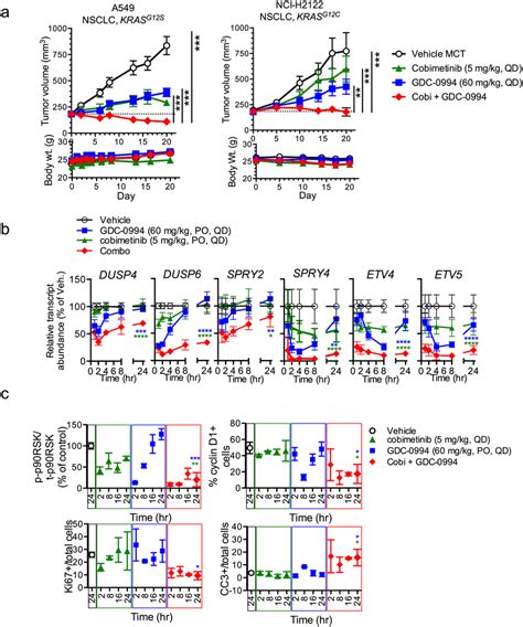 Combination Of Mek And Erk Inhibitors Results In Stronger Suppression Download Scientific