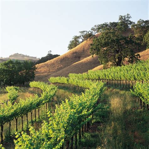 8 Of The Best Wineries To Visit In California