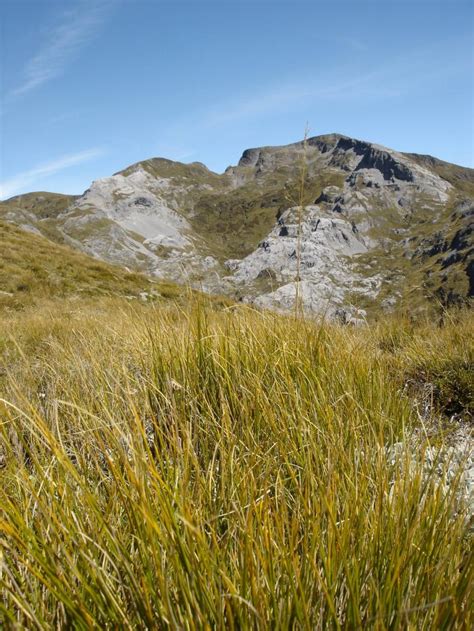 Mount Arthur Photo Of Tasman Nelson New Zealand At Kiwiwise