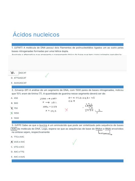 Questões Sobre Ácidos Nucléicos - Questões Sobre Ácidos Nucleicos | PDF