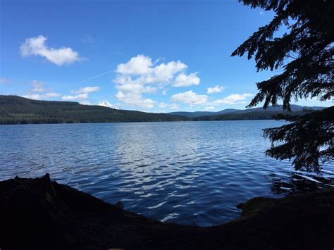 Timothy Lake 27 Photos Lakes Timothy Lake Estacada Or Yelp