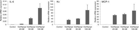 Doseresponse Effect Of Visfatin Nampt On The MRNA Expression Of