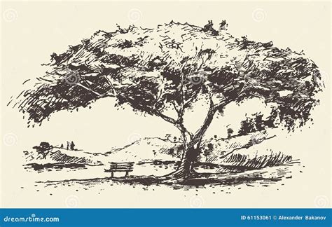 Árbol Romántico Con Bosquejo Dibujado Banco Ilustración Del Vector