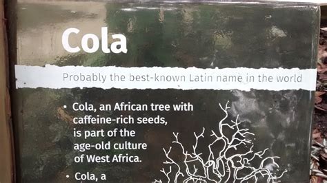 vocabulary - Is Cola "probably the best-known" Latin word in the world ...