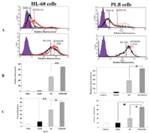 E3330 Enhances Ra Induced Cellular Differentiation And Increases The