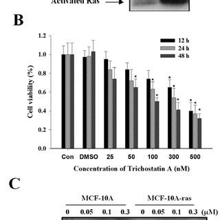 Effects Of Trichostatin A On Ras Oncogene Expression Cell