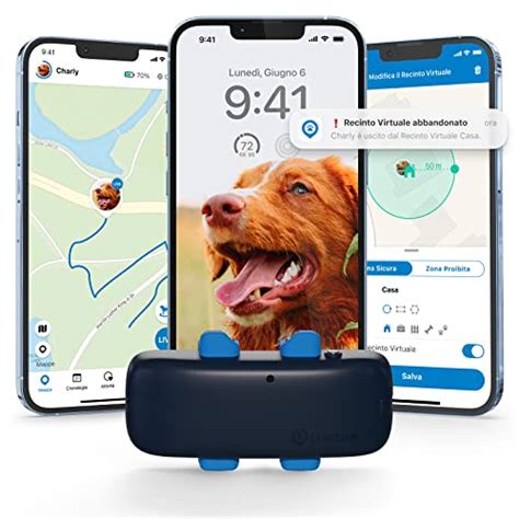 47 Migliori Collare Gps Cane Nel 2023 Recensioni Opinioni Prezzi